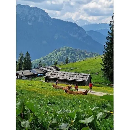 Panorama Chiemsee Egerer